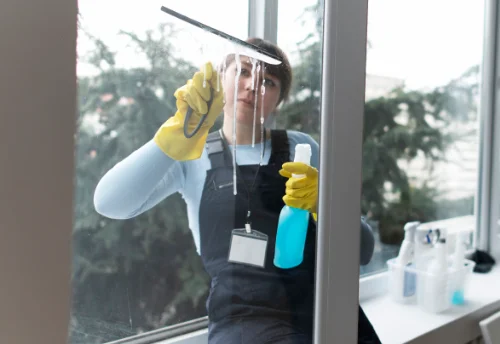 Nettoyage de vitres intérieures et extérieures à Saint-Pierre-du-Lorouër